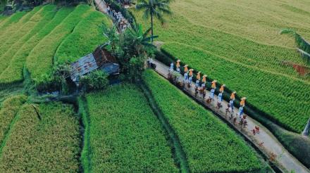 WISATA TRACKING UMADESA